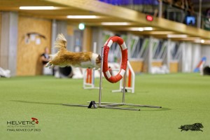 1T0A2187_DxO