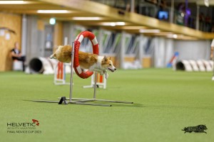 1T0A2189_DxO