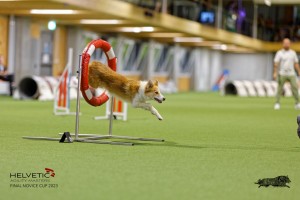 1T0A2190_DxO