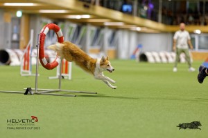 1T0A2191_DxO