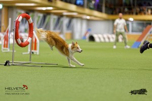 1T0A2192_DxO