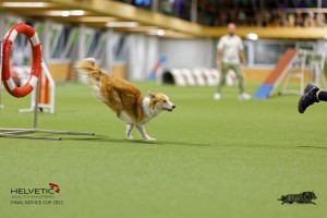 1T0A2193_DxO