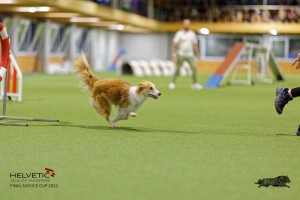 1T0A2194_DxO