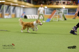 1T0A2195_DxO
