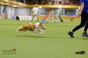 1T0A2196_DxO