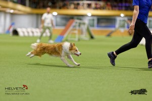 1T0A2197_DxO