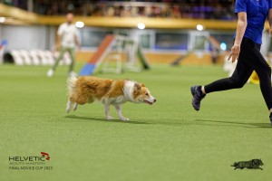 1T0A2198_DxO