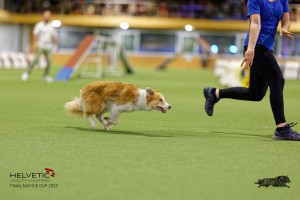 1T0A2199_DxO