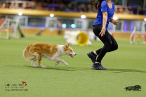 1T0A2201_DxO