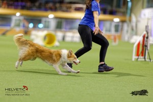 1T0A2203_DxO