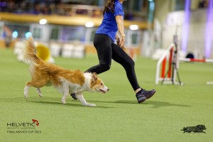 1T0A2204_DxO