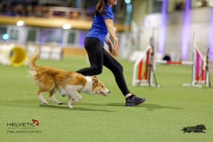 1T0A2205_DxO
