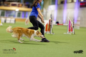1T0A2206_DxO