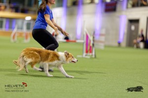 1T0A2208_DxO