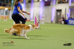 1T0A2209_DxO