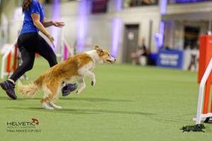 1T0A2211_DxO