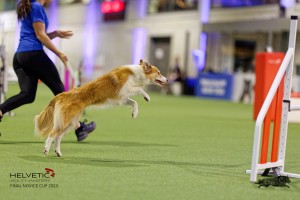 1T0A2212_DxO