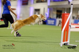 1T0A2213_DxO