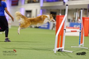 1T0A2215_DxO