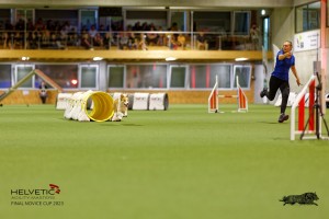 1T0A2233_DxO