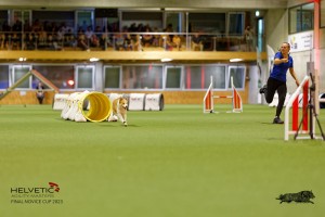 1T0A2234_DxO