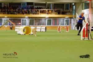 1T0A2235_DxO