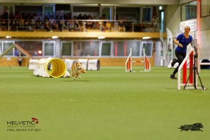 1T0A2237_DxO