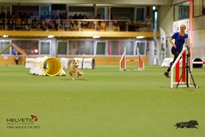 1T0A2238_DxO