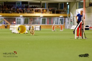1T0A2239_DxO