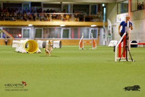 1T0A2240_DxO