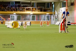 1T0A2241_DxO