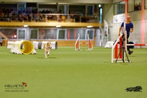 1T0A2242_DxO