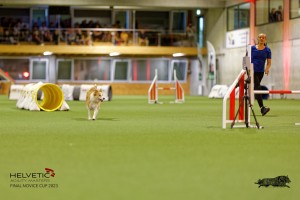 1T0A2243_DxO