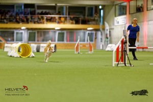 1T0A2244_DxO