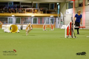 1T0A2245_DxO