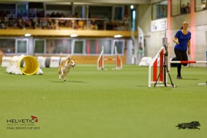 1T0A2246_DxO