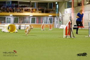 1T0A2247_DxO