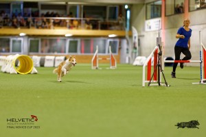 1T0A2248_DxO