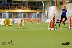 1T0A2249_DxO