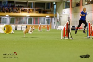 1T0A2250_DxO