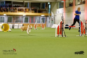 1T0A2251_DxO
