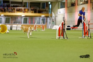1T0A2252_DxO