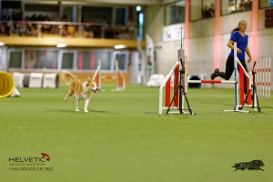 1T0A2253_DxO