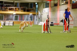 1T0A2255_DxO