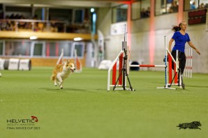 1T0A2256_DxO