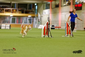 1T0A2257_DxO