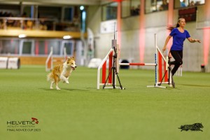 1T0A2258_DxO