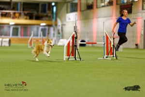 1T0A2259_DxO