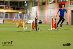 1T0A2260_DxO