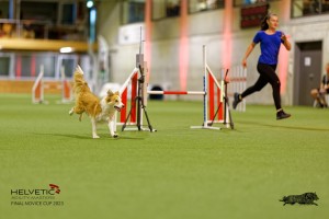 1T0A2262_DxO